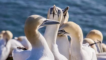 _爱游戏官方_ 中国足球文化推广活动，影响深远_，爱游戏足球体育