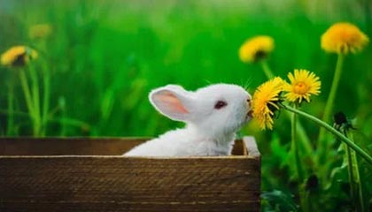 _爱游戏官方_ 中国足球新联赛：快节奏带来新挑战_，爱游戏官方赞助意甲01