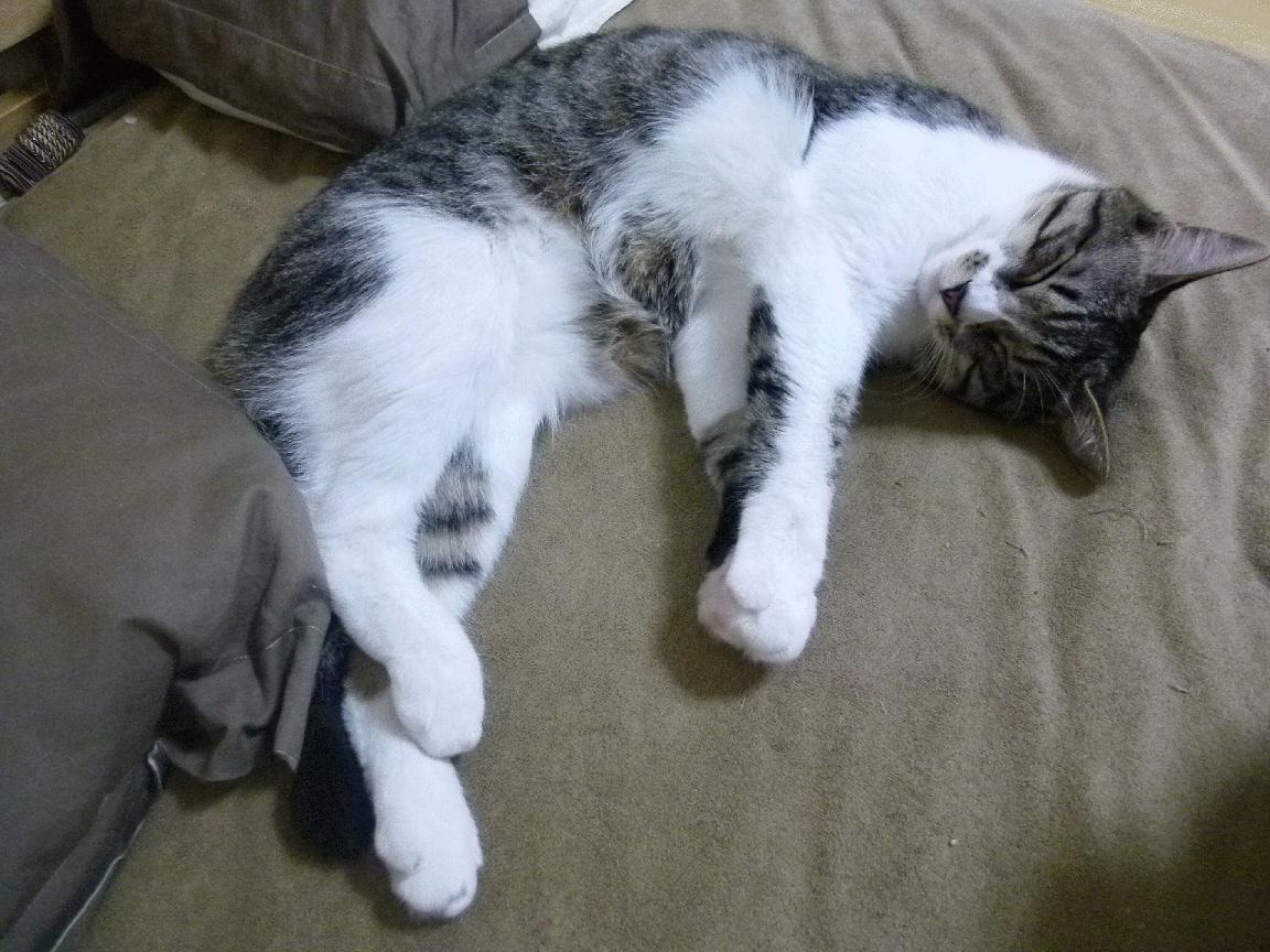 _赛事精彩瞬间汇总:逆转、破纪录瞬间一网打尽_,总决赛逆转