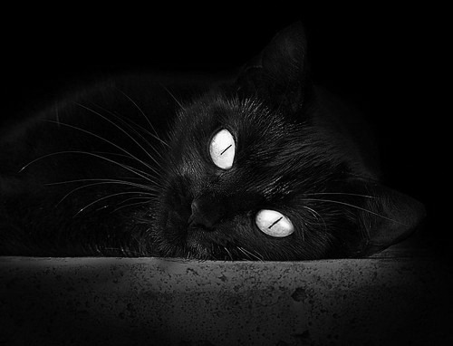 _赛前心理调节:运动员如何保持最佳状态_,试述运动员如何克服赛前心理紧张的方法