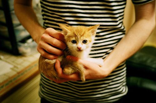 技惊四座!阿根廷中场长传助攻破门,阿根廷中场球员