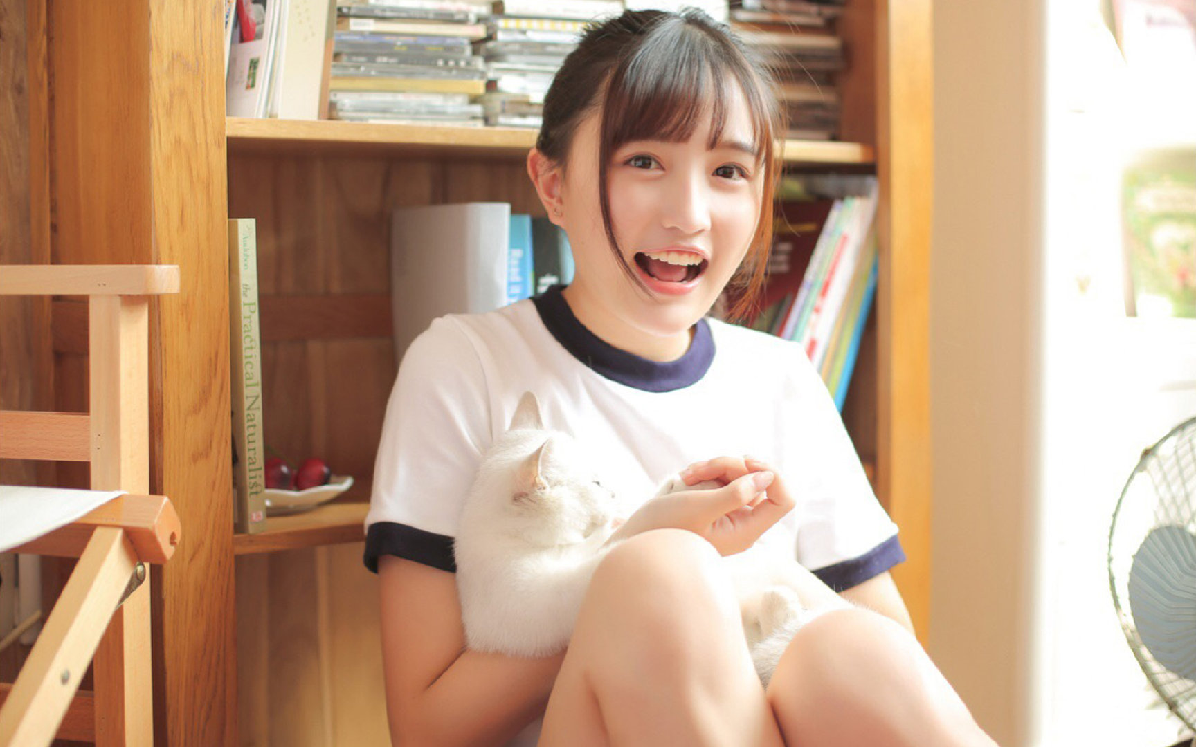 创纪录体操动作难度评分突破,体操有没有世界纪录