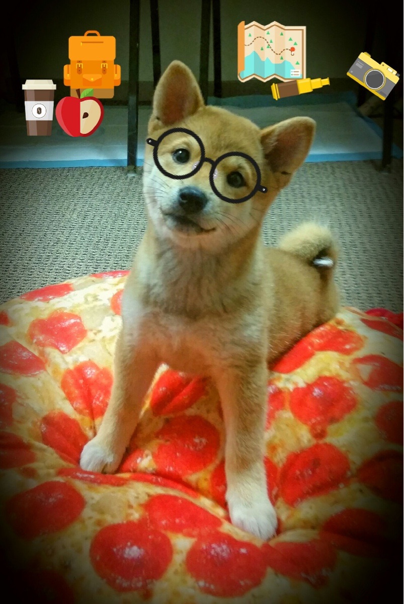 堡垒之夜创意模式作品获奖公布,堡垒之夜设计