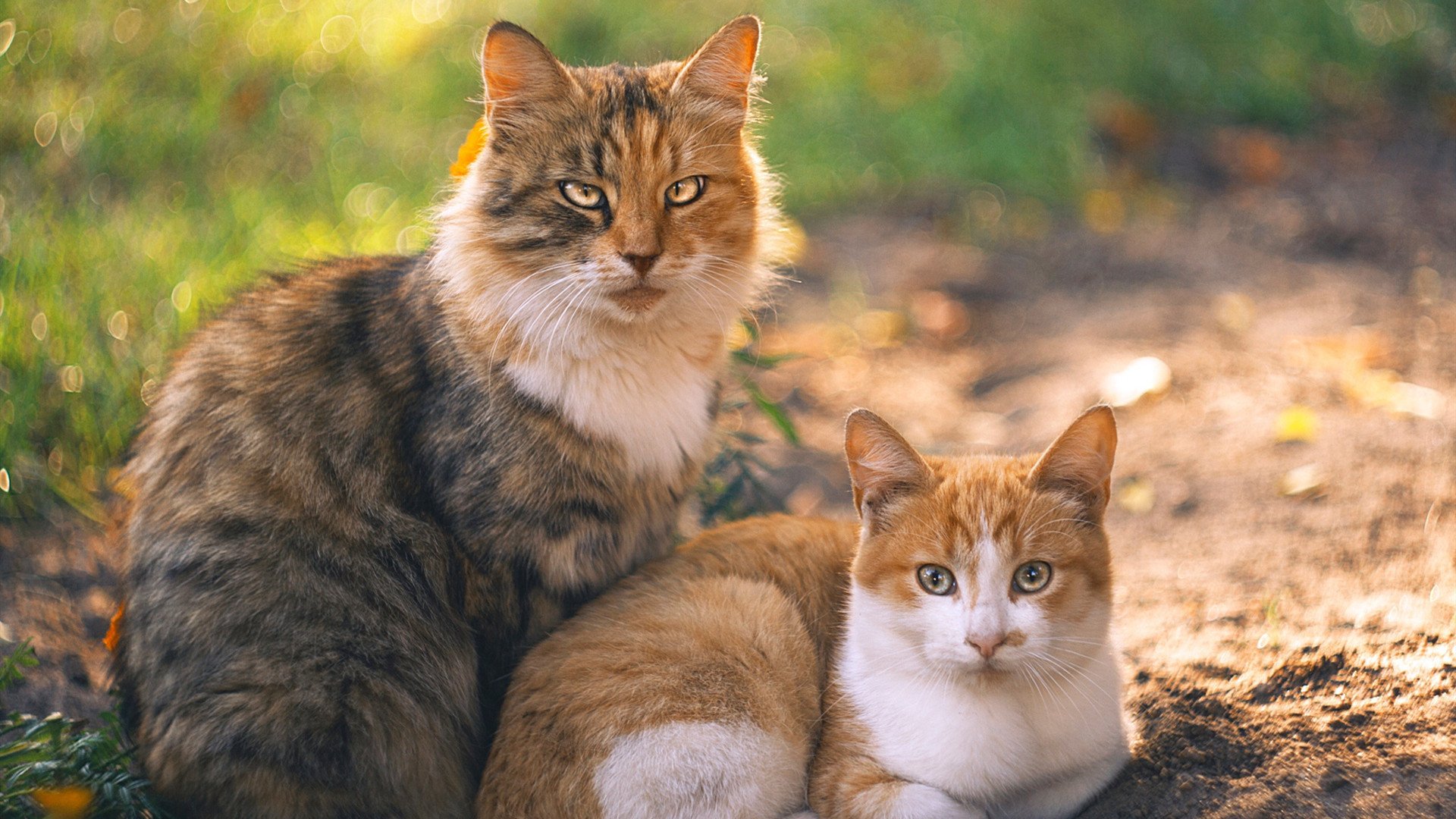 巴萨逆袭斯帕尼奥尔,梅西着落制胜球,巴萨官推梅西