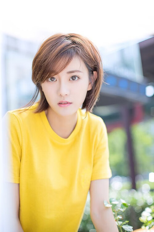 瑞典国家队备战欧预赛,争取胜利,瑞典欧预赛成绩