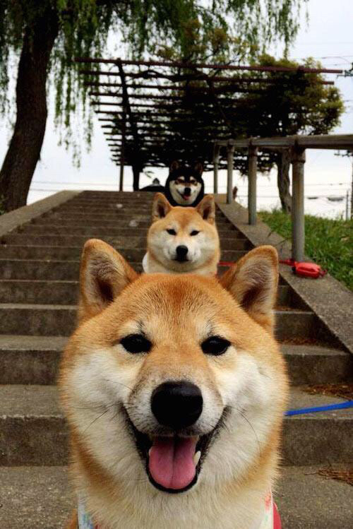 迪马利亚宣布国家队退役，结束16年征程，迪马利亚 续约