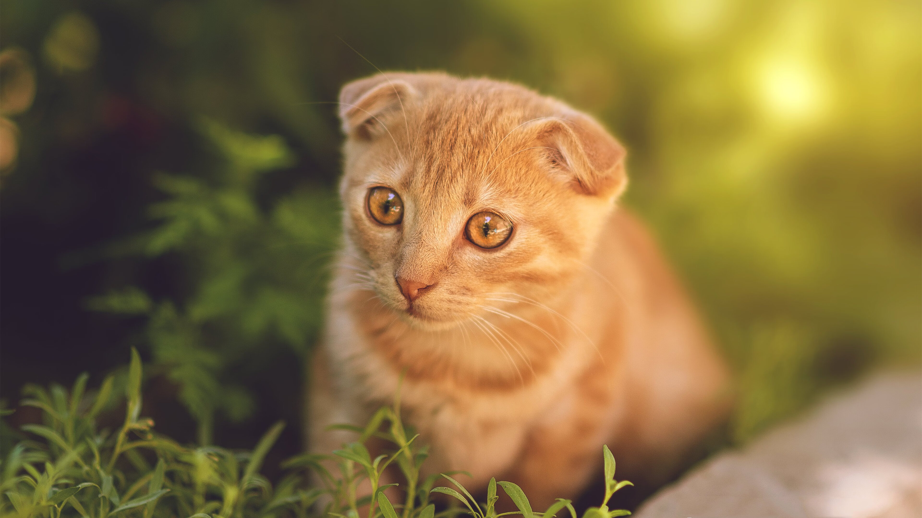 雪太大，塞内加尔球员脚底打滑完成“冰上倒钩”