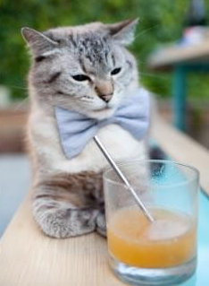 篮球运动员体能与技能协同提升训练体系，篮球运动员体能与技能协同提升训练体系有哪些