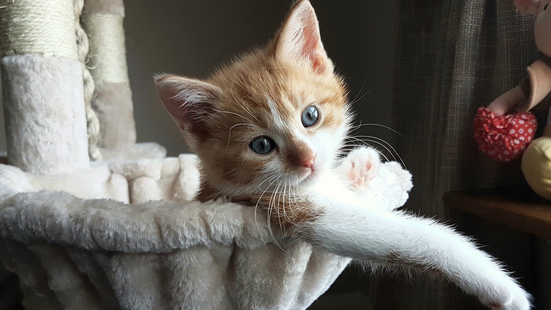 英超高强度赛程下球员运动损伤预防策略探索,英超伤病网站