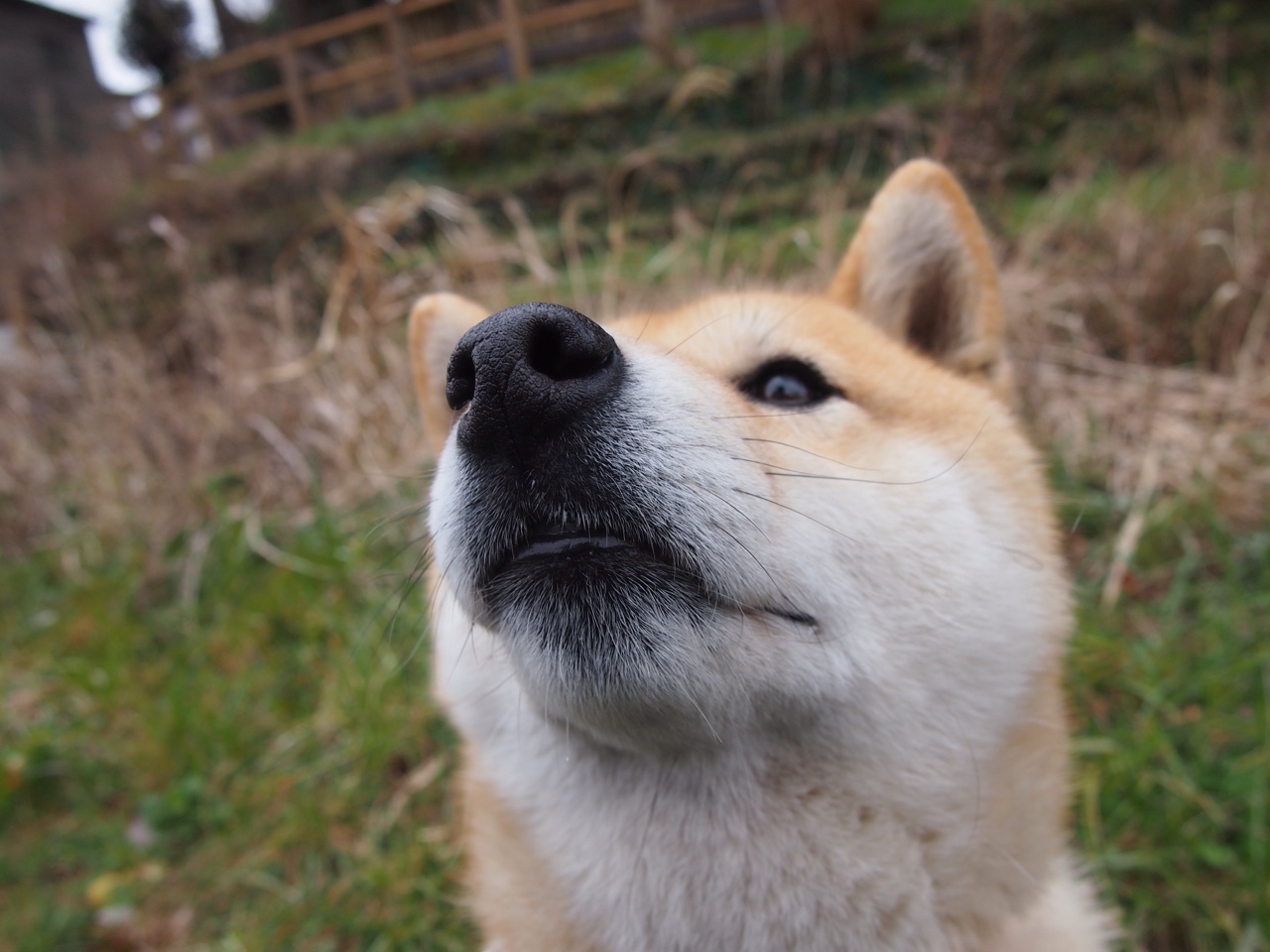 中国三人篮球女队提升节奏切换意识，中国三人篮球女队获得的成绩为