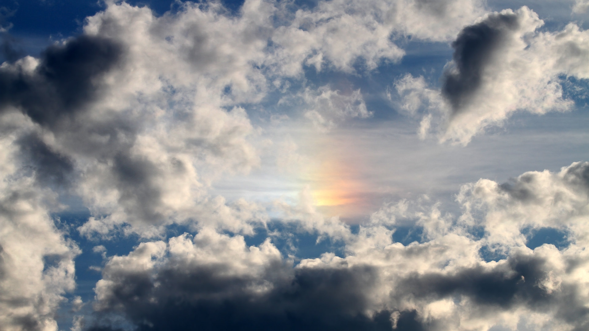 中长距离自由泳表现持续稳定,中长距离游泳和短距离游泳