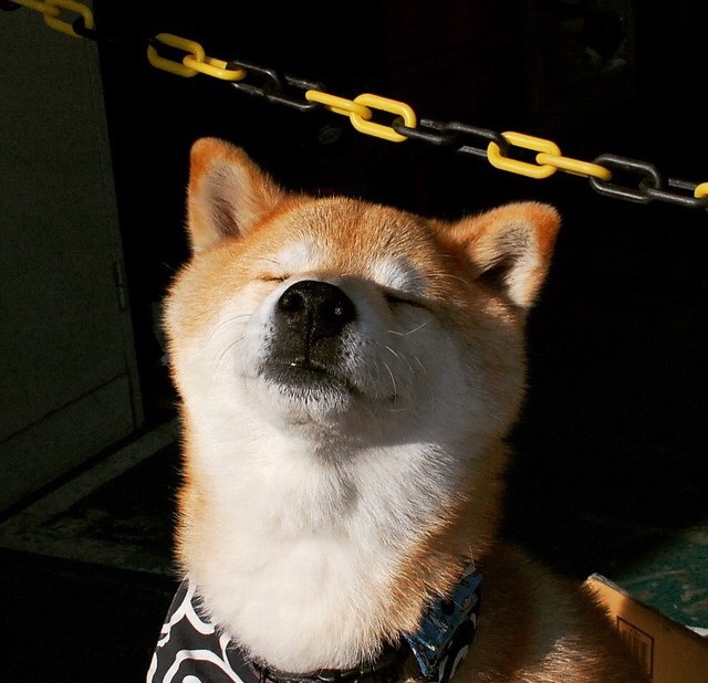 紧凑4-4-2阵型撑起防守密度，紧凑的含义