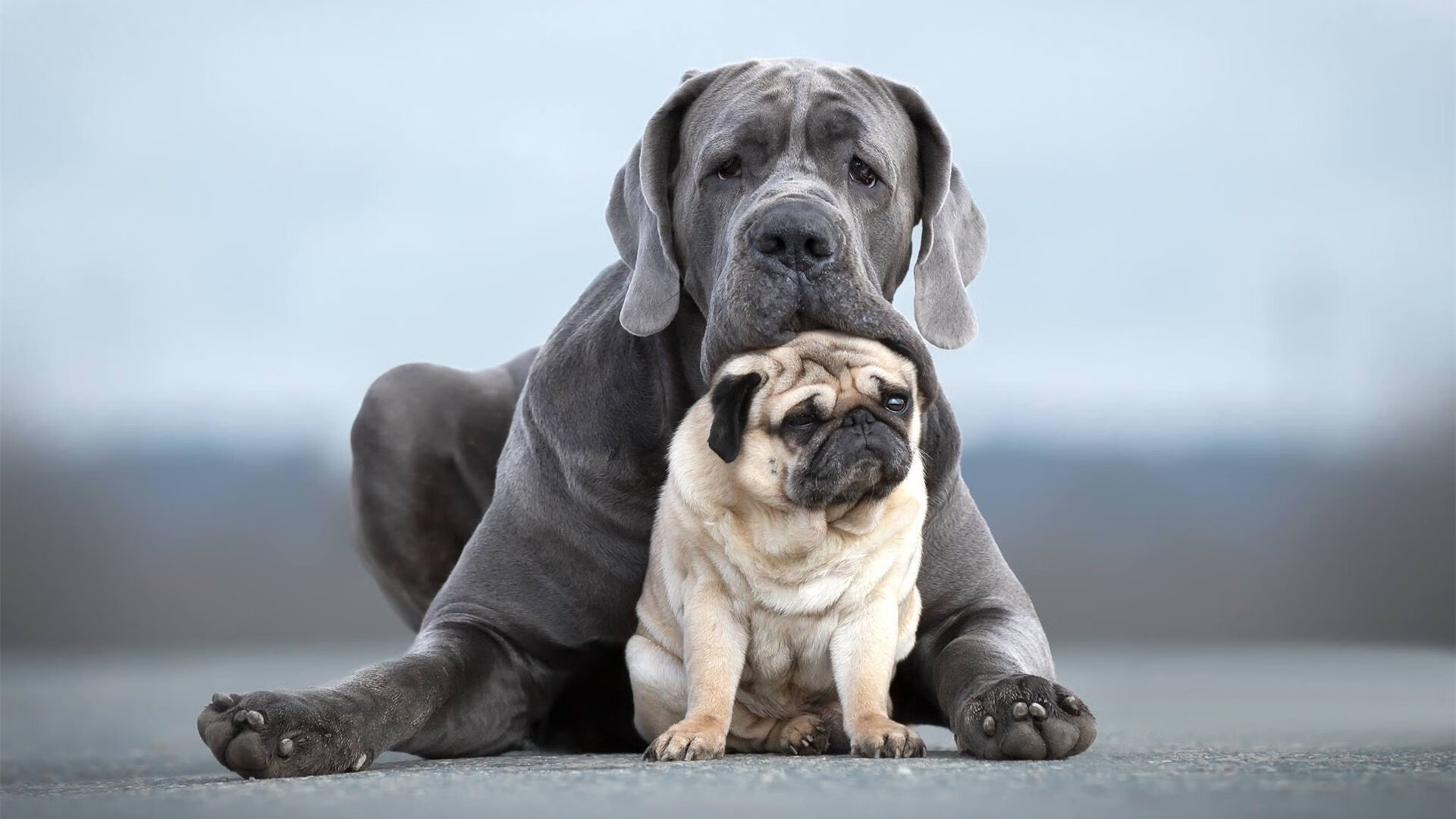 巴巴多斯男篮在加勒比赛场中夺冠,体育合作日益紧密,巴巴多斯和中国