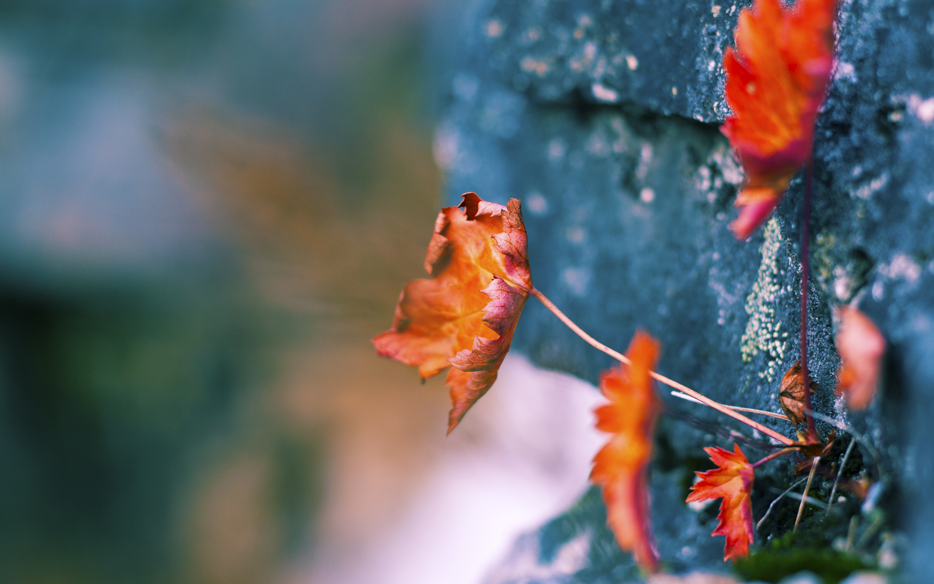 技术动作规范性与世界标准同步，技术动作规范的重要性