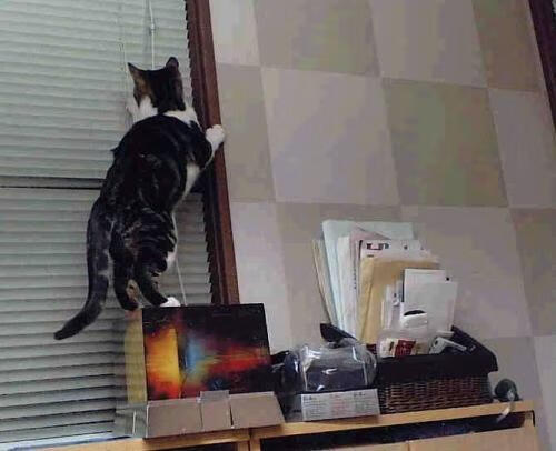 火箭宣布裁员进行阵容瘦身计划，火箭签约最新消息