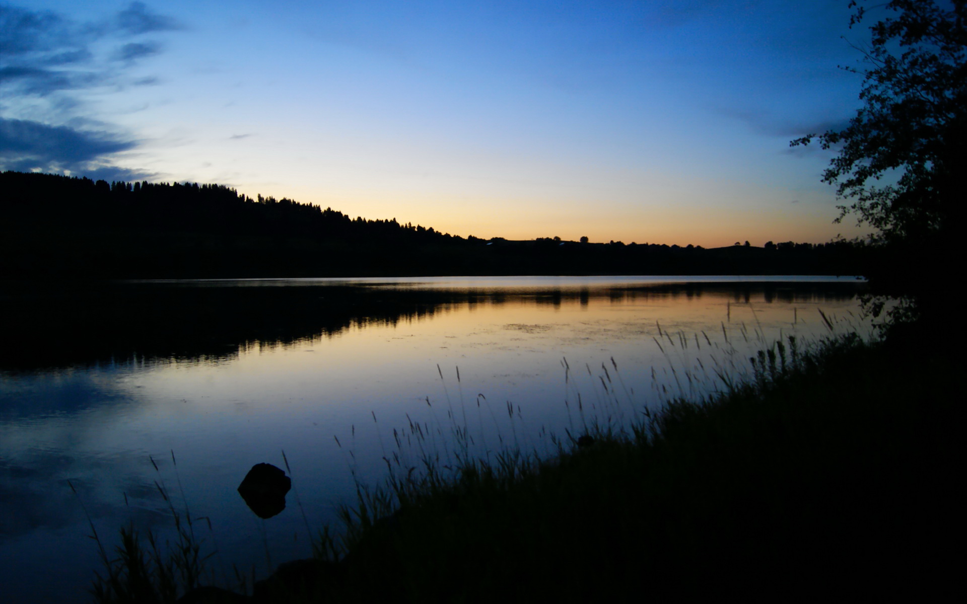 老鹰关键球员伤愈复出阵容逐渐完整,老鹰球员受伤